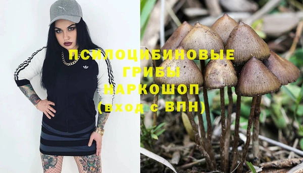 бошки Арсеньев